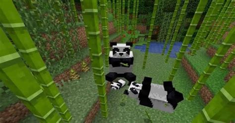 How to Tame a Panda in Minecraft - Nerd Lodge