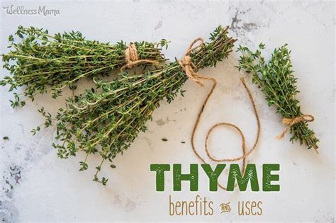 Thyme Uses & Benefits | Wellness Mama