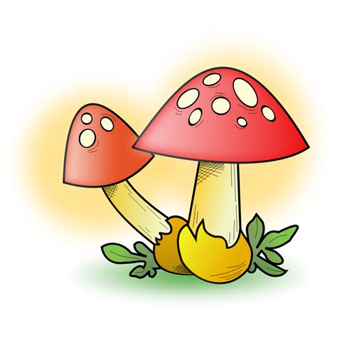 Toadstool Clipart - ClipArt Best