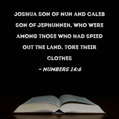 Numbers 14:6 Joshua son of Nun and Caleb son of Jephunneh, who were among those who had spied ...