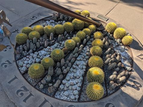 Desert Botanical Garden - Go Wandering