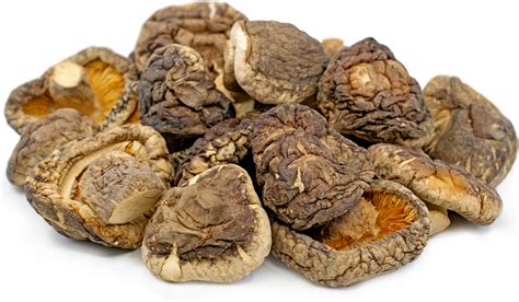 Dried Shiitake Mushrooms Information, Recipes and Facts