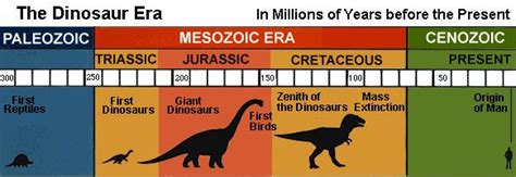 The Mesozoic era, which spanned about 185 million years, is divided into three periods: the ...