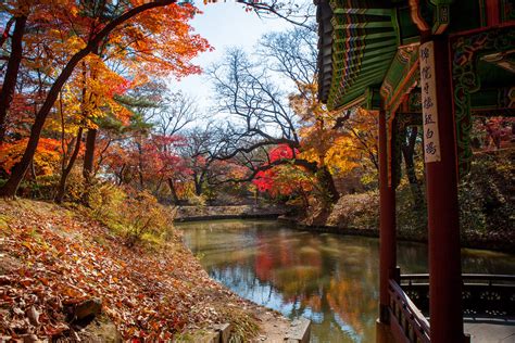 Autumn at the Secret Garden in Changdeokgung | This photo wa… | Flickr