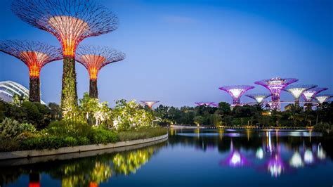 Gardens By The Bay Light Show - Everything You Need To Know