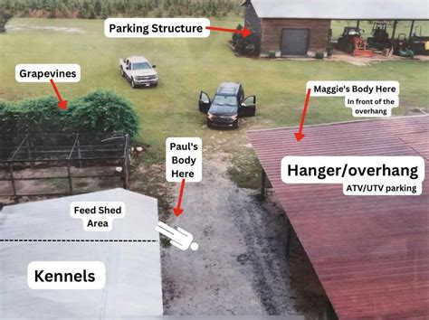 Murdaugh Crime Scene Diagram - Image to u