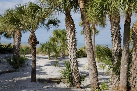 north captiva island club ferry - Ned Barrera