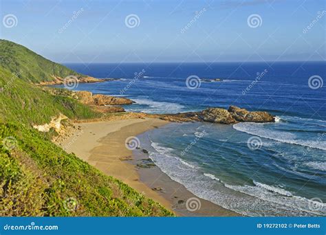 Brenton on Sea stock photo. Image of vegetation, africa - 19272102