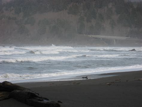 Del Norte Coast Redwoods State Park | Natural Atlas