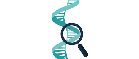 In Focus: Gene Expression Analysis - BioTechniques