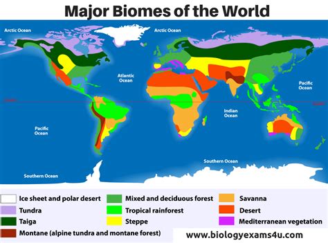 Major Biomes of the World