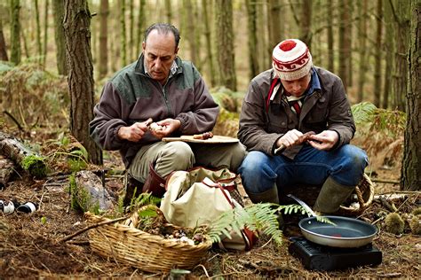 Mushroom foraging with Gennaro Contaldo – Jamie Oliver | Features | Jamie Oliver