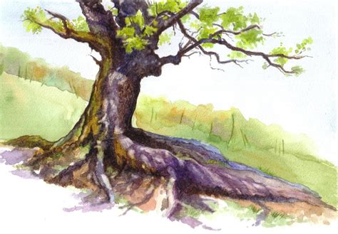 Oak Watercolor at PaintingValley.com | Explore collection of Oak Watercolor