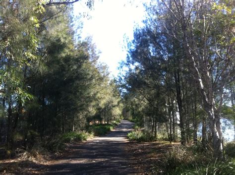 Parramatta River Walk at Sydney Olympic Park