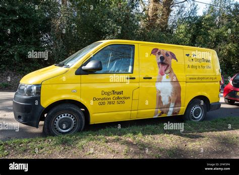 Dog's Trust charity yellow van, UK Stock Photo - Alamy