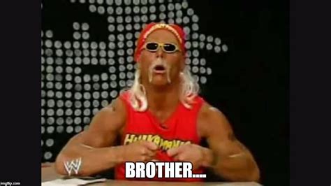 Oh Brother Hulk Hogan Memes