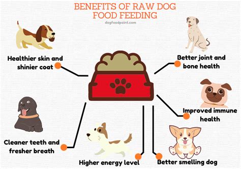 Raw Diet For Dogs: Benefits And Risks