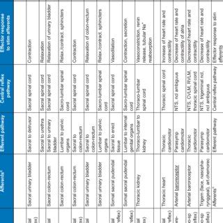 (PDF) Autonomic Reflexes