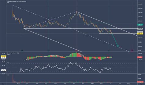 Coinbase Stock Price and Chart — NASDAQ:COIN — TradingView