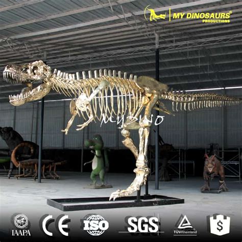 Natural History Museum Themed Gold Dinosaur Skeleton Window Display