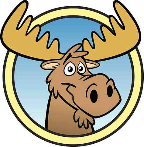 Best Moose Cartoon Illustrations, Royalty-Free Vector Graphics & Clip Art - iStock