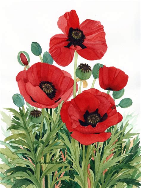 Red Poppy Painting