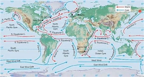 Ocean Currents Types, Causes and Effects on Climate - Jotscroll