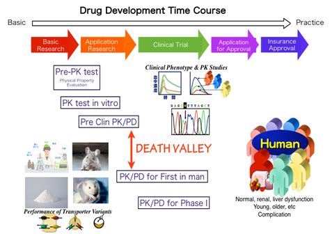 Department of Pharmacology and Therapeutics | National Cancer Center ...