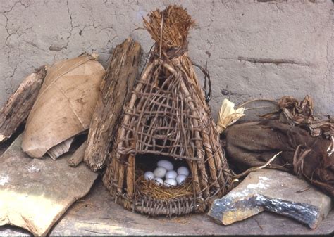Chicken eggs, Loma area, Liberia, 1968 | Photo taken in May,… | Flickr