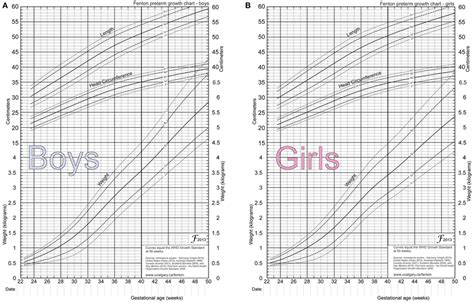 2013 Fenton preterm growth charts for newborns. (A) Is the 2013 Fenton... | Download Scientific ...