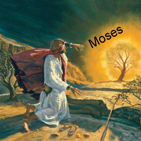 Moses | Book 571757