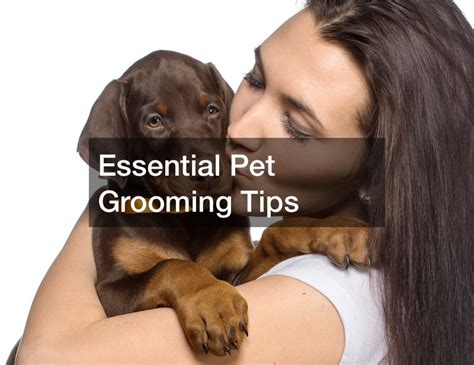 Essential Pet Grooming Tips - Great Conversation Starters