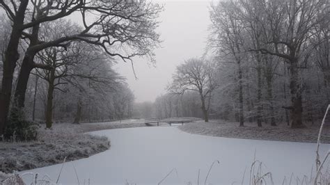 Free Images : water, snow, winter, fog, mist, morning, rain, frost, ice, reflection, weather ...