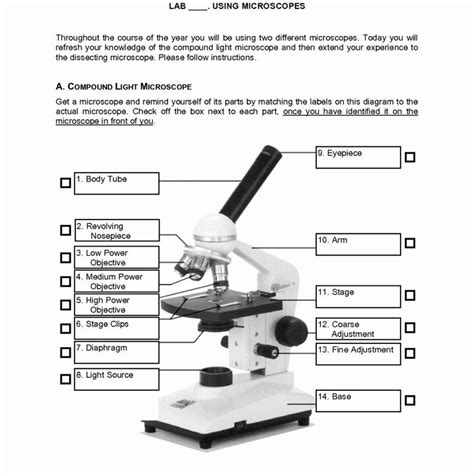 The Microscope Worksheets Answers | Microscope parts, Worksheet template, Measurement worksheets