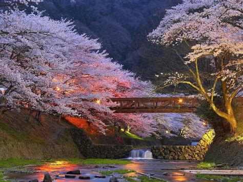 Kyoto. Cherry blossoms are in April but before Golden Week starting on ...