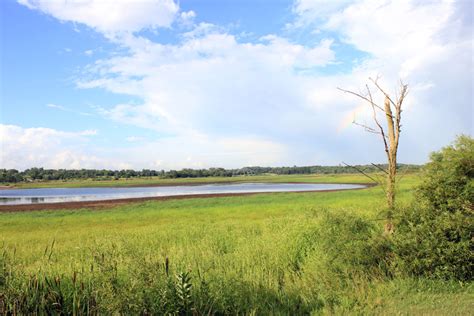 The Pond at Richard Bong Recreation Area, Wisconsin image - Free stock ...