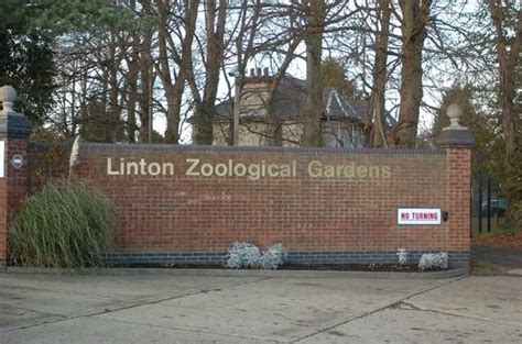 Linton Zoo issues important update on opening date as UK restrictions ease - Cambridgeshire Live