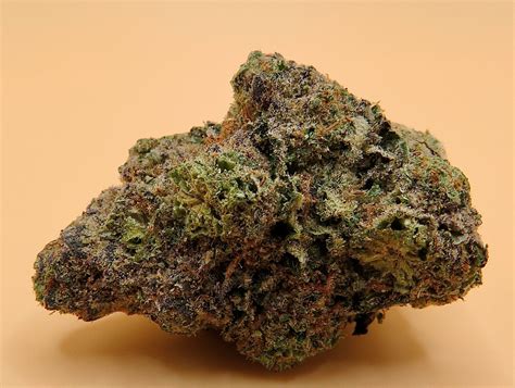 Mimosa Weed Strain - "Purple Mimosa" Sativa Splendor | Seaweed - SeaweedDelivery