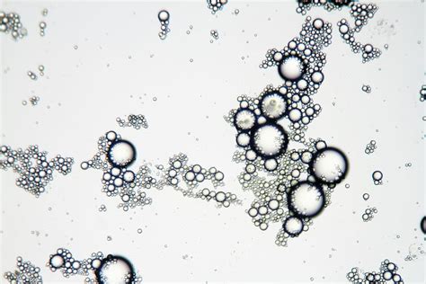 mixture, soap, oil, viewed, microscope., microscope, water, chemistry, grease, micelle | Pxfuel