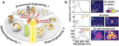 Hybrid plasmonic nanoparticles. a) Examples of plasmonic nanoparticles ...