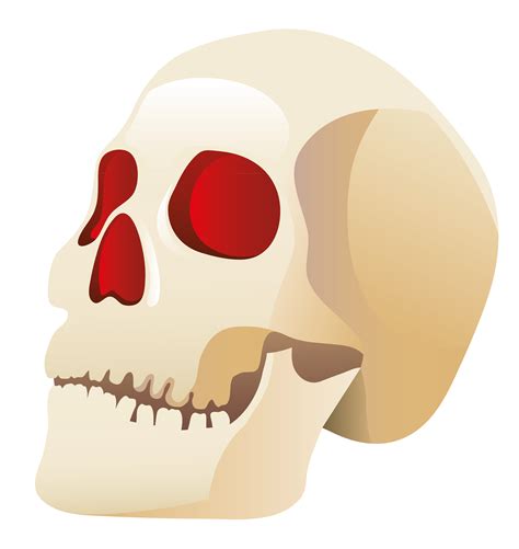 Human skull clipart 2 - WikiClipArt