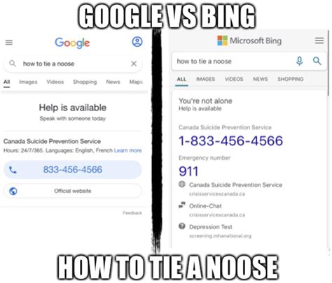 Google vs Bing Meme : r/antimeme