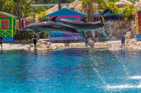 Top Photo Spots at Sea World Gold Coast in 2022