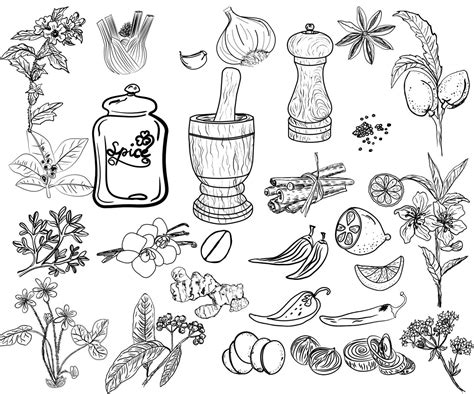 Kitchen doodle clipart: HERBS AND SPICES Herbs | Etsy