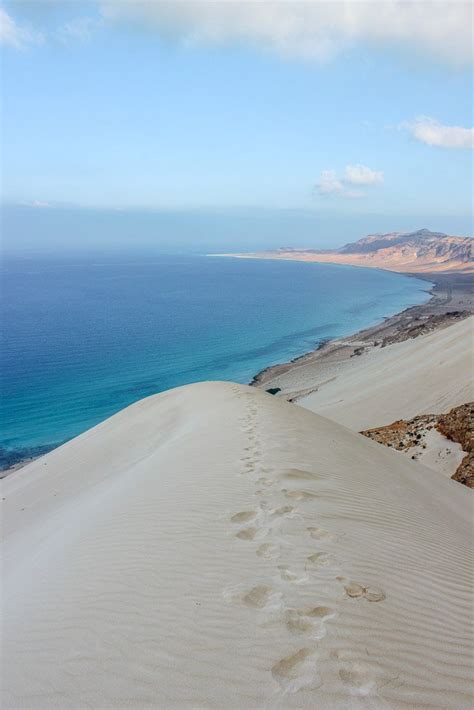 Wanna Go To Socotra? - The Adventures of Nicole