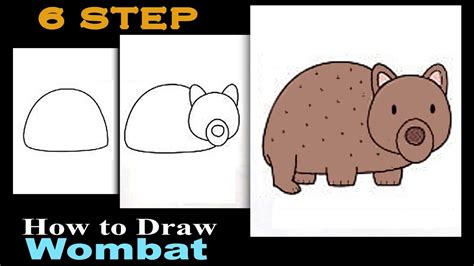 How to draw a wombat@6 steps drawing - YouTube