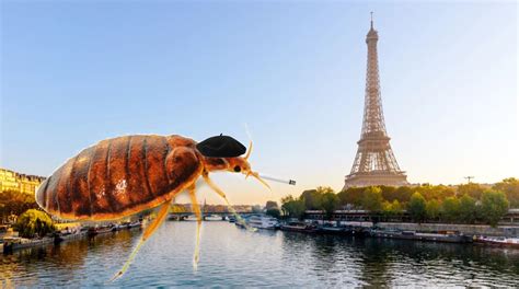 Bed Bugs Infestation Spark Concern in Paris