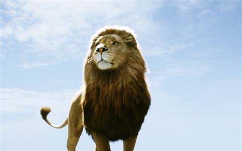 dawn, Animals, Lions, Skyscapes, Chronicles, Of, Narnia Wallpapers HD ...