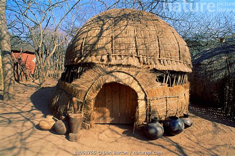 Nature Picture Library Zulu hut with traditional earthenware pots in village. Simunye Zulu Lodge ...