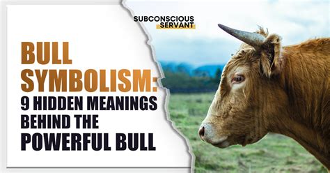 Bull Symbolism: 9 Hidden Meanings Behind the Powerful Bull